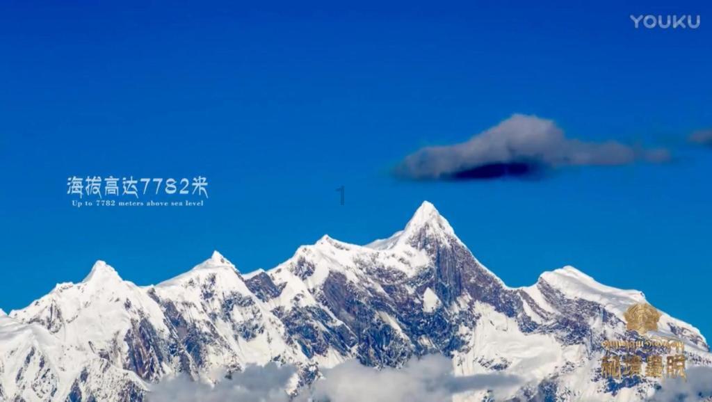 破碎的动物图形